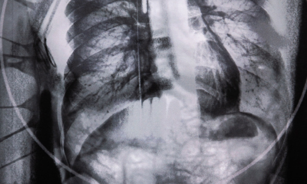 Novis Corpus, de 48 fotógrafos confinados