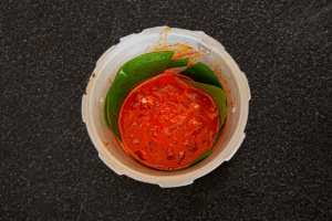 04 Cochinita pibil