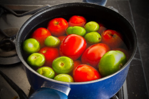 07 Tomatillos y xitomates