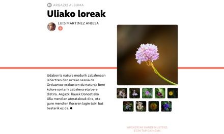 REVISTA TTAP Nº 161: Uliako loreak
