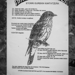 Matia Kalea 262